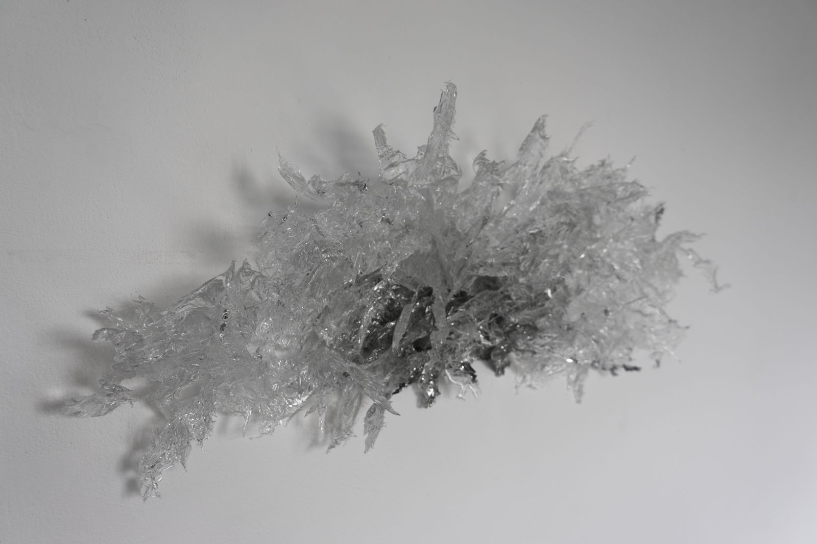 晶绽